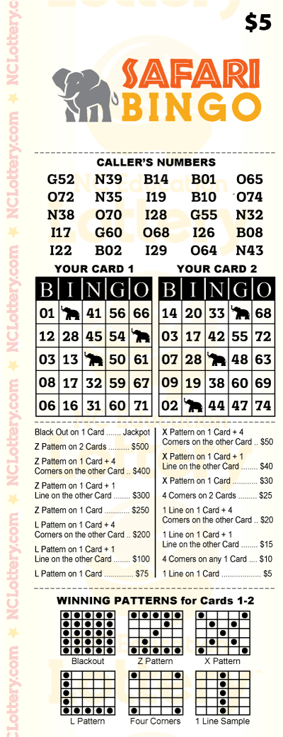 Game logo: Safari Bingo