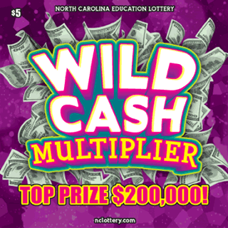 Wild Cash Multiplier