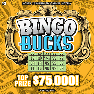 Game logo: Bingo Bucks