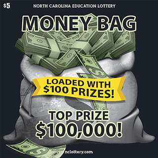 Game logo: Money Bag